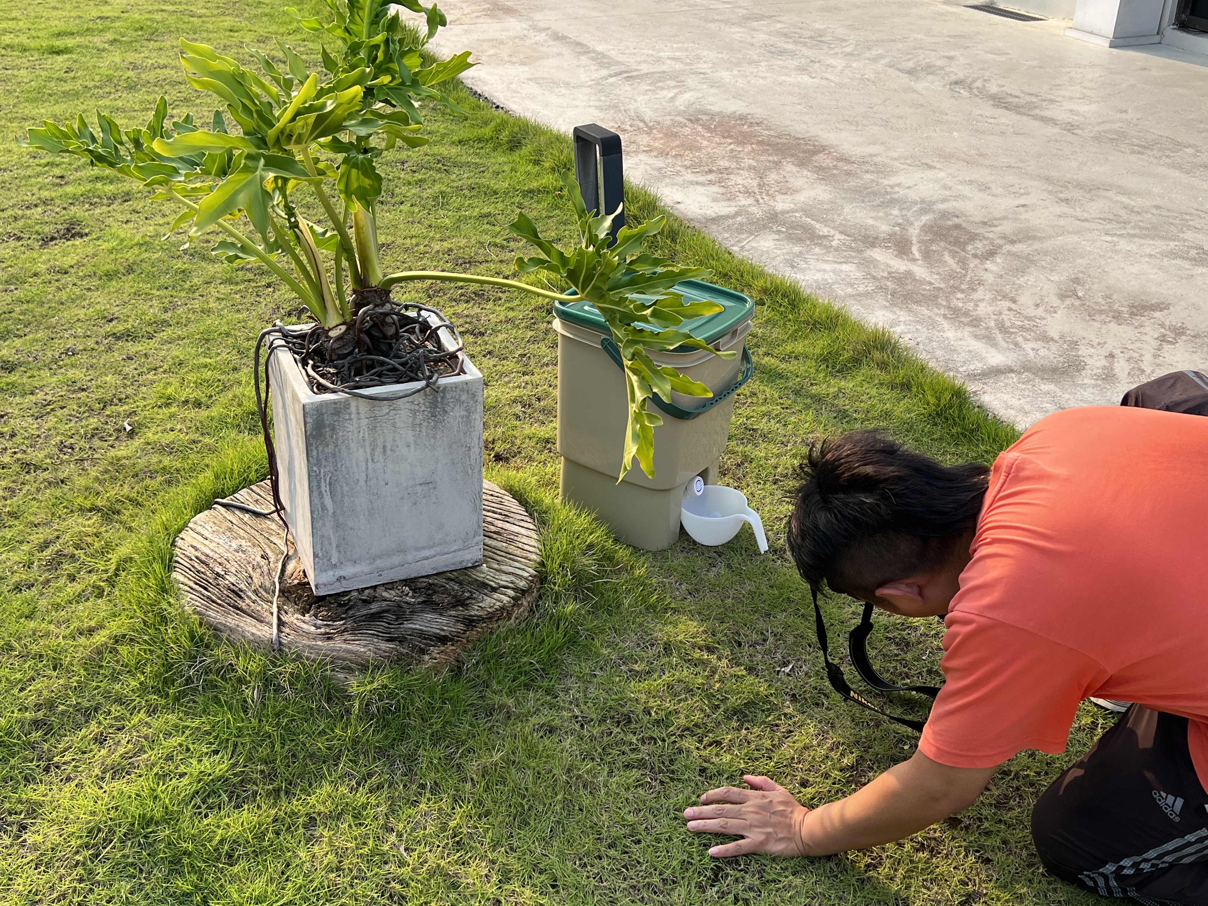 15L Compost Bin: Turning Food Waste into ‘Fertile Magic’