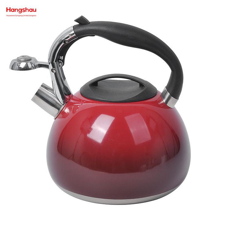 Tea Kettle Whistling Kettle For Home Painting Hot Water Tea Pot Stainless Steel Water Kettle 