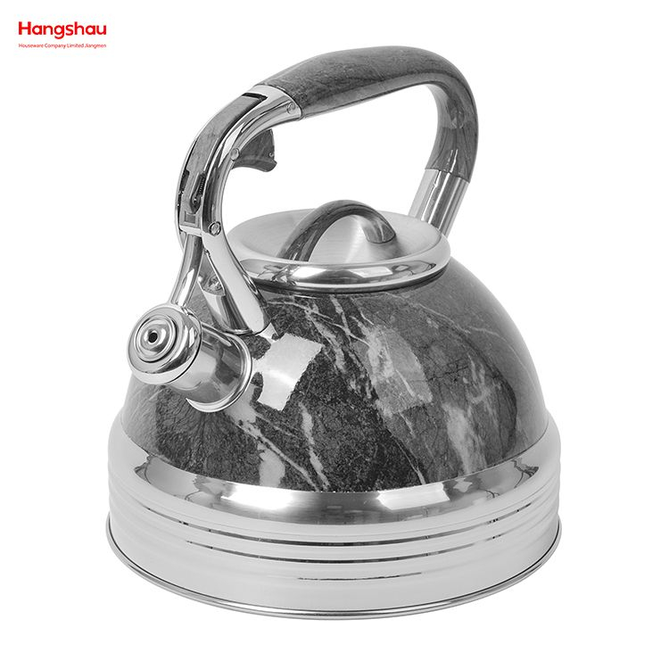 Stainless Steel Water Kettle Tea Kettle Whistling Kettle For Home Painting Hot Water Tea Pot 