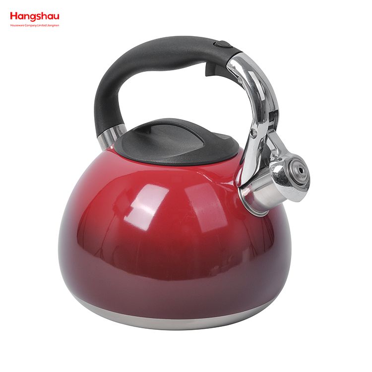 Tea Kettle Whistling Kettle For Home Painting Hot Water Tea Pot Stainless Steel Water Kettle 