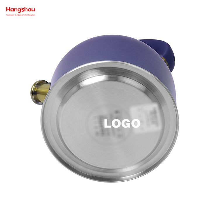 Fashionable Wholesale Custom Arabic Camping Hotel Stove Top Pour Over Pot Hot Water Coffee Stainless Steel Whistling Tea Kettle