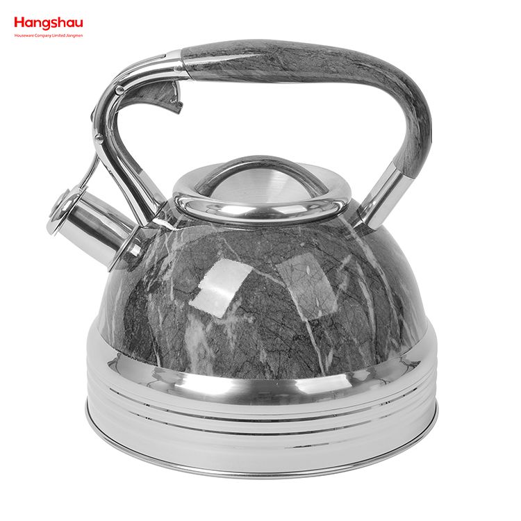 Stainless Steel Water Kettle Tea Kettle Whistling Kettle For Home Painting Hot Water Tea Pot 