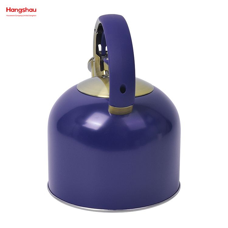 Fashionable Wholesale Custom Arabic Camping Hotel Stove Top Pour Over Pot Hot Water Coffee Stainless Steel Whistling Tea Kettle