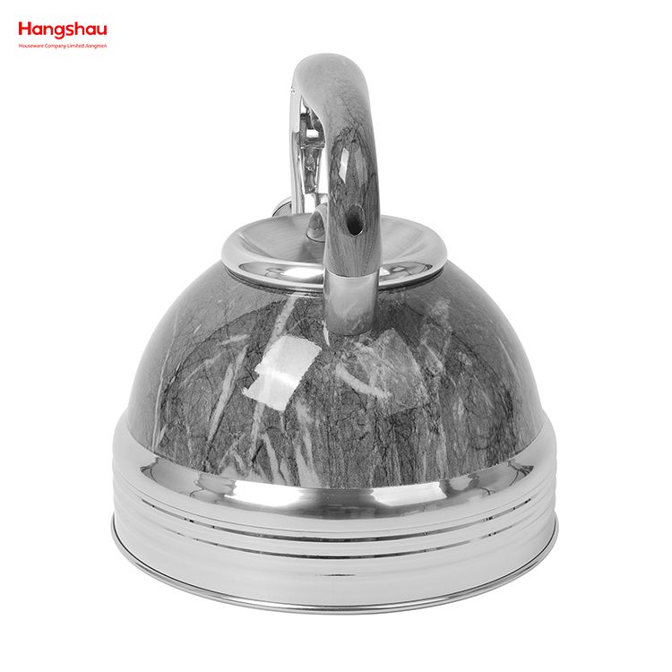 Stainless Steel Water Kettle Tea Kettle Whistling Kettle For Home Painting Hot Water Tea Pot 