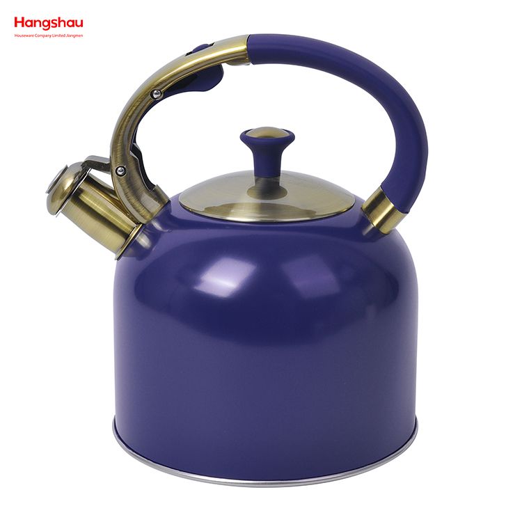 Fashionable Wholesale Custom Arabic Camping Hotel Stove Top Pour Over Pot Hot Water Coffee Stainless Steel Whistling Tea Kettle