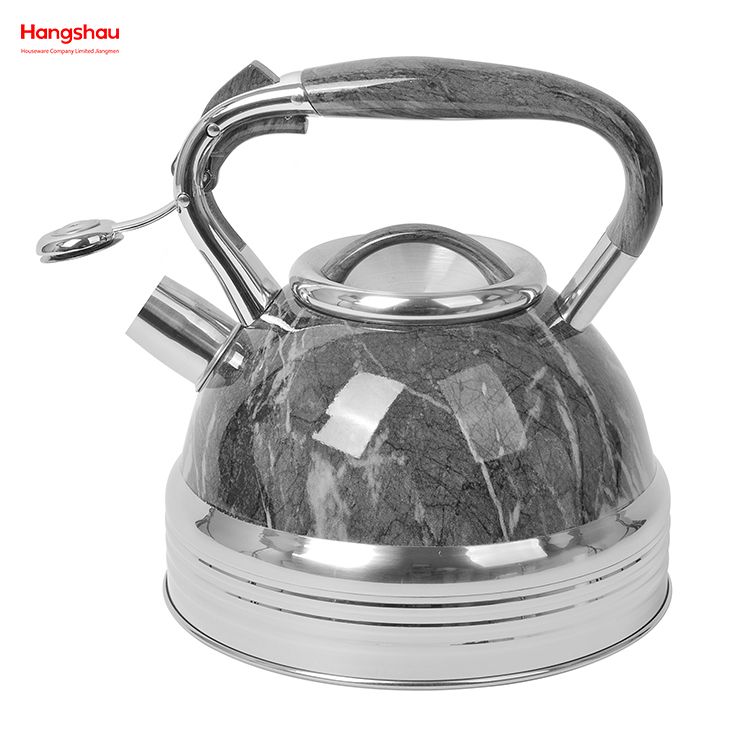 Stainless Steel Water Kettle Tea Kettle Whistling Kettle For Home Painting Hot Water Tea Pot 