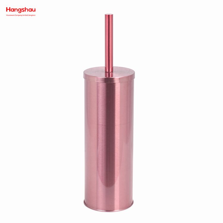 Metal Standing Toilet Brush with Holder Plastic Brush Cleaning Set Stainless Steel Matte Bathroom Toilet 