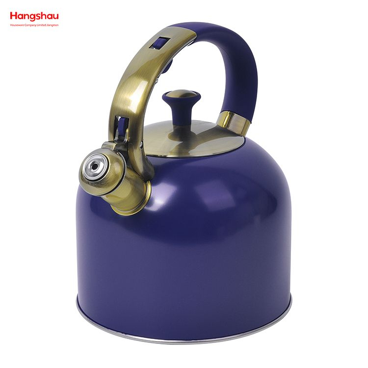 Fashionable Wholesale Custom Arabic Camping Hotel Stove Top Pour Over Pot Hot Water Coffee Stainless Steel Whistling Tea Kettle